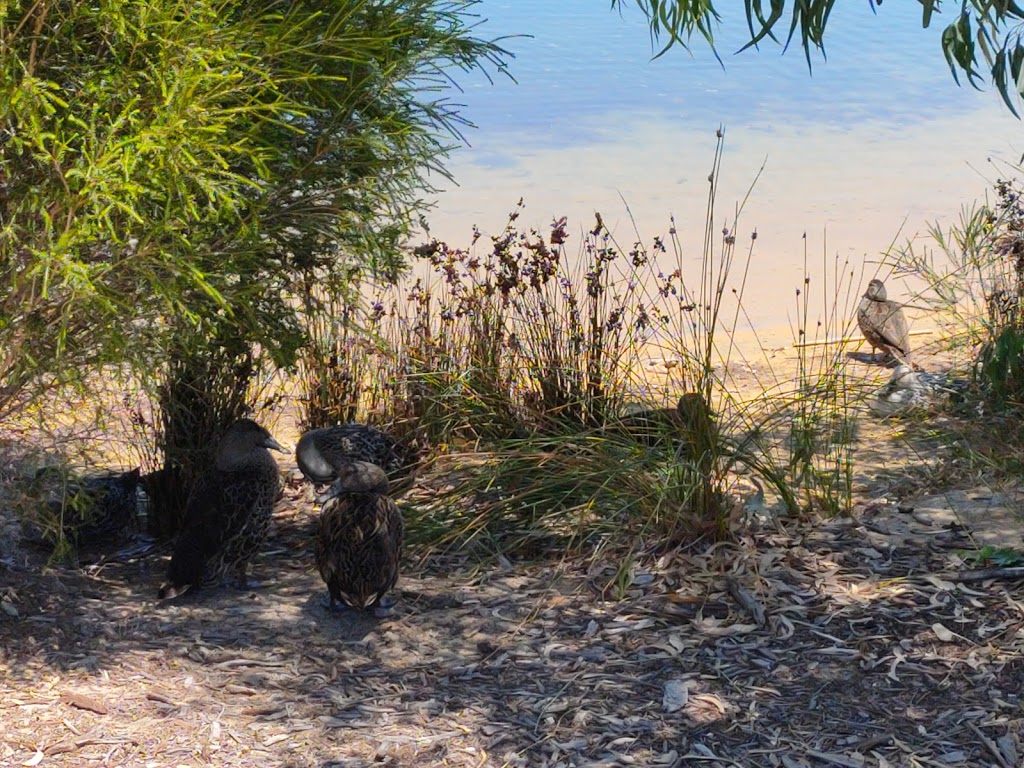 Frasers Landing Playground - Foto 1