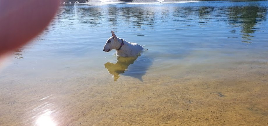 Frasers Landing Playground - Foto 9