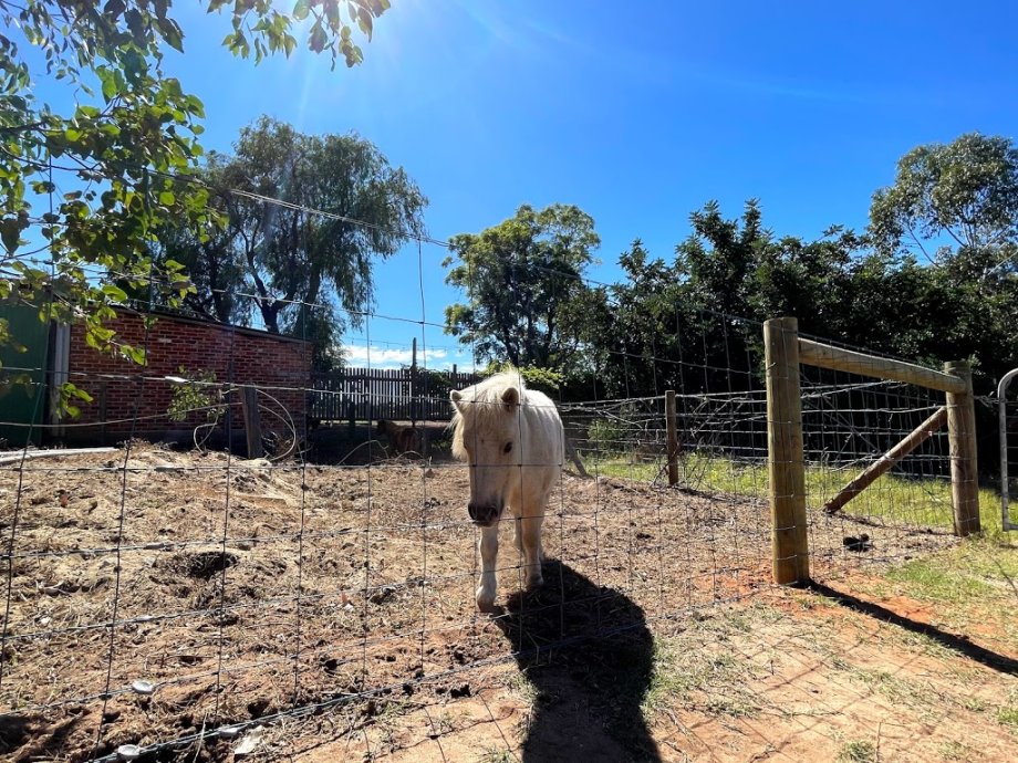 Swan Valley Station - Foto 9