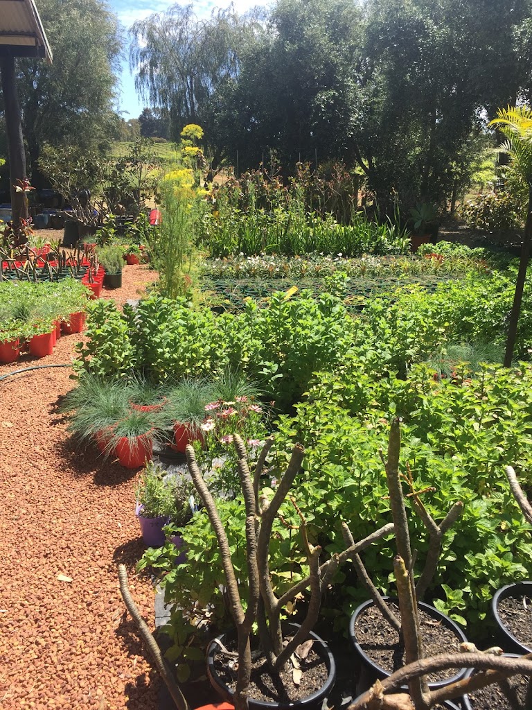 Swan Valley Station - Foto 13