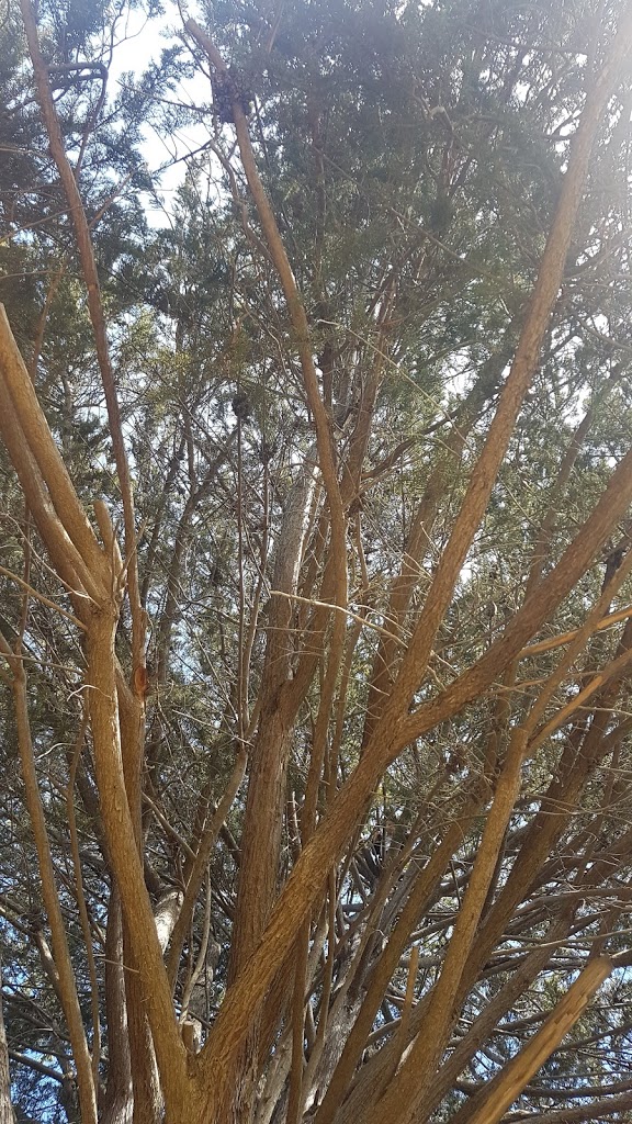 Wellington Square - Foto 5