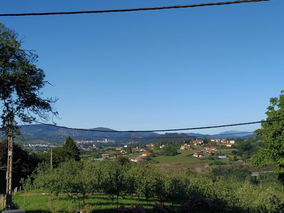 Restaurante Arbesú - Foto 5