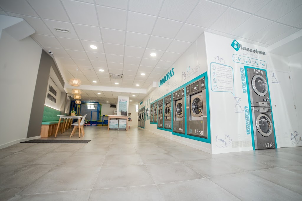 Lavandería autoservicio Branco Puro