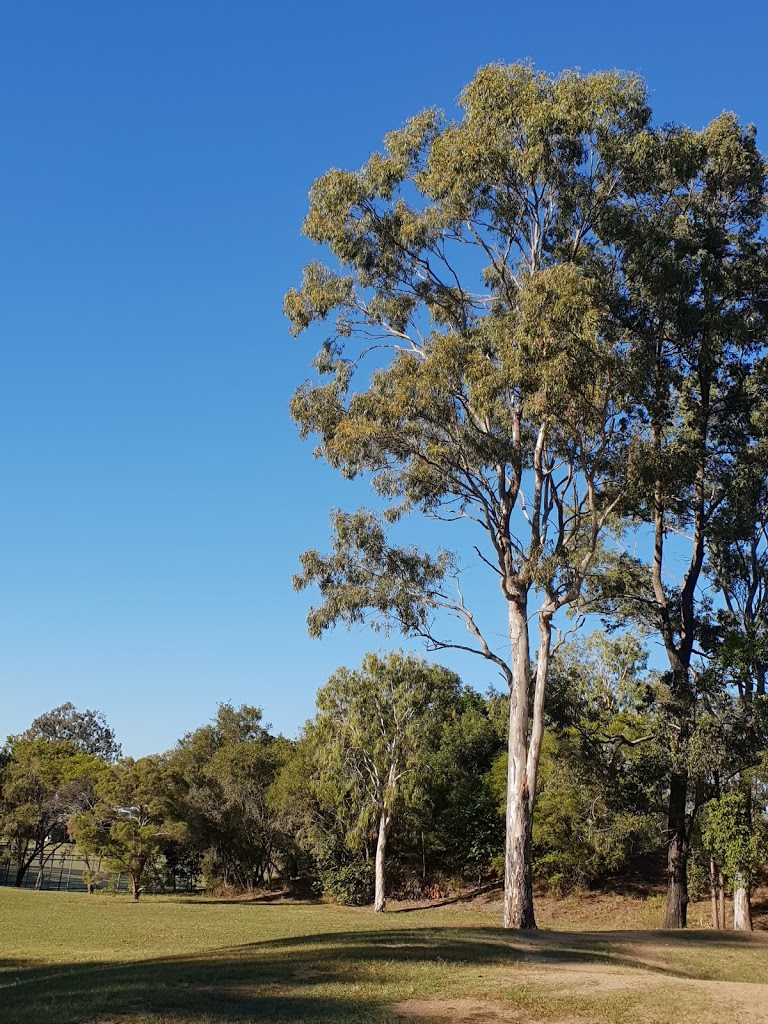 D.M. Henderson Park - Foto 6