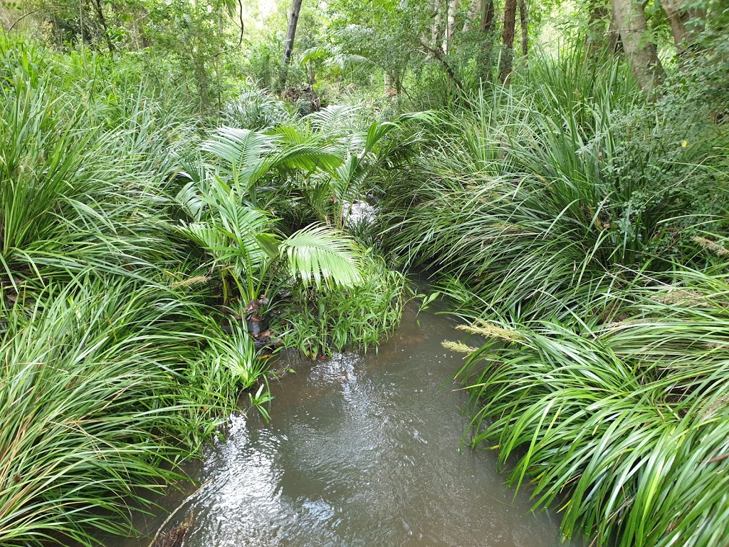 D.M. Henderson Park - Foto 1