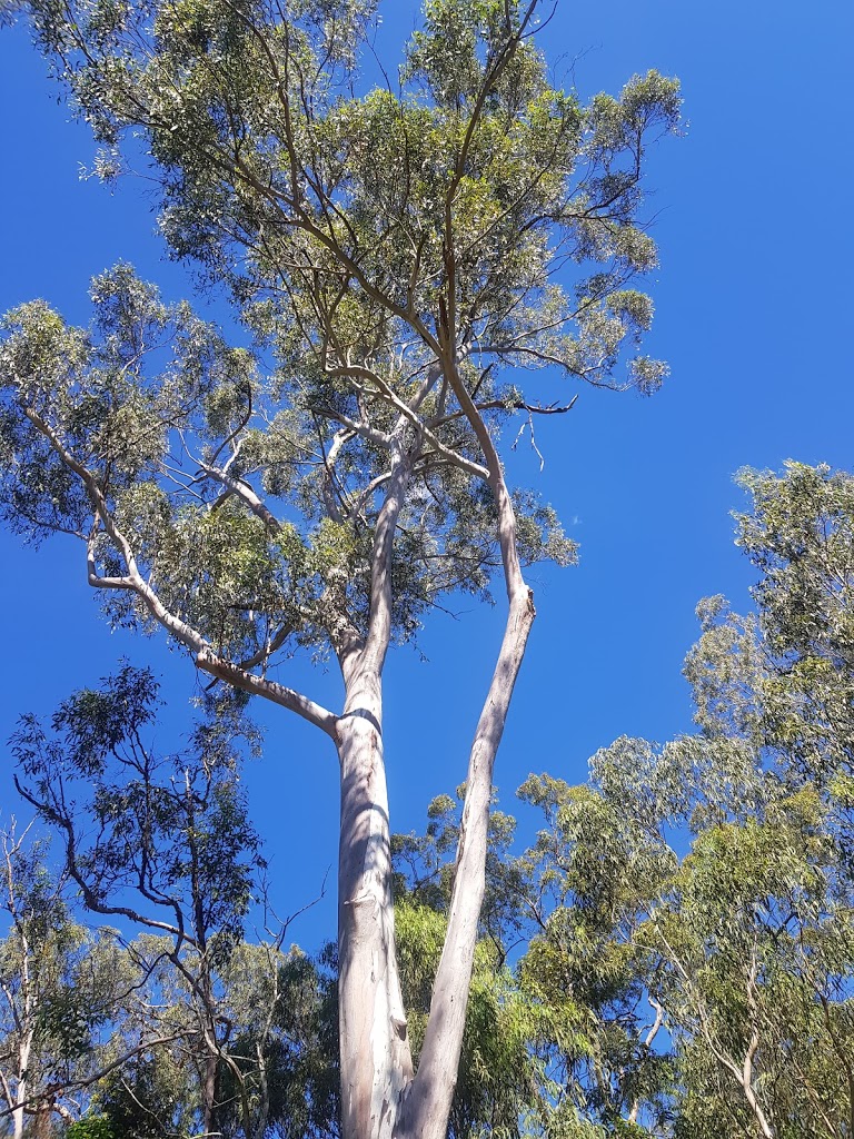 Whipbird Park Playground - Foto 5