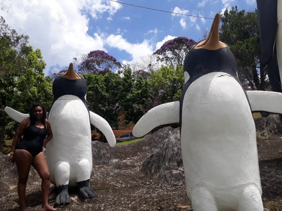 Thermas Water Park - Foto 8