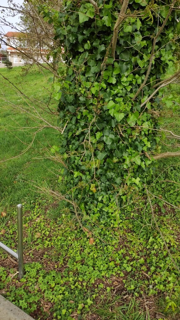 Parque Infantil Da Carballeira de Nantes - Foto 7