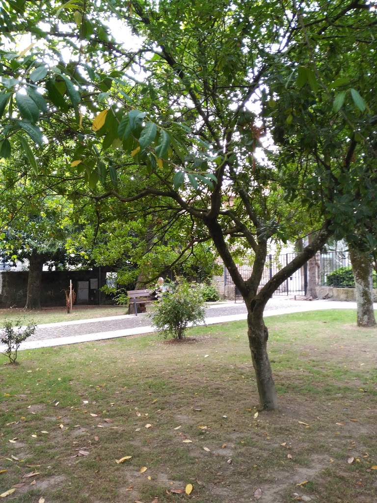 Parque De Torrado - Foto 1