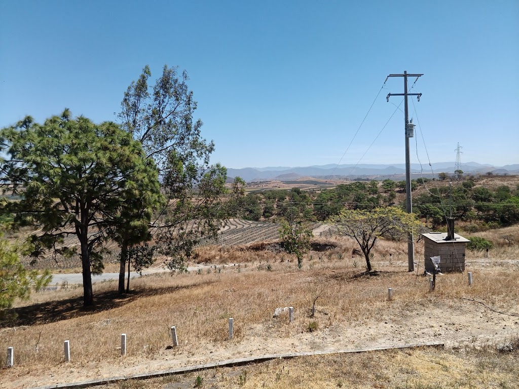 La Hacienda del Borrego - Foto 1