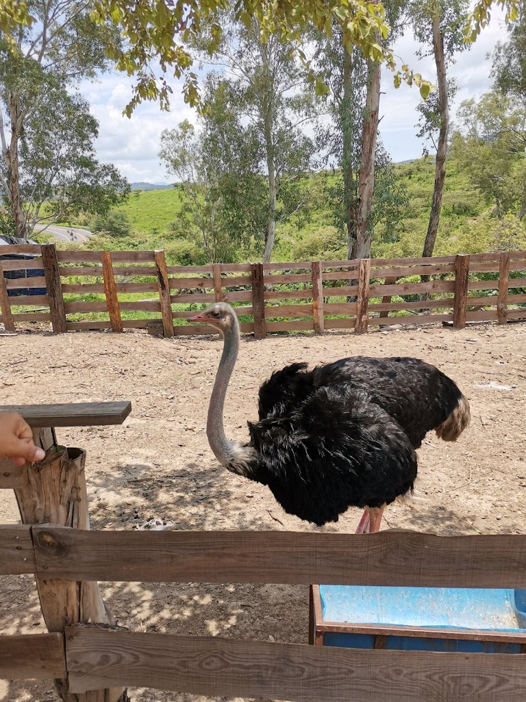 La Hacienda del Borrego - Foto 1