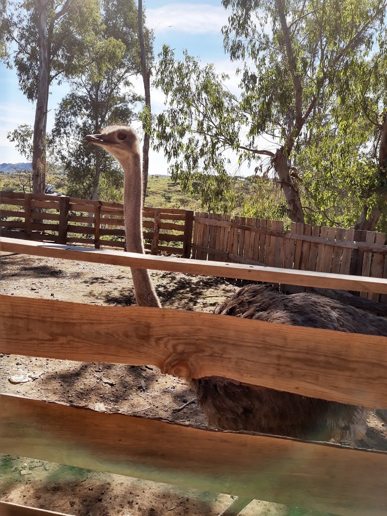 La Hacienda del Borrego - Foto 1