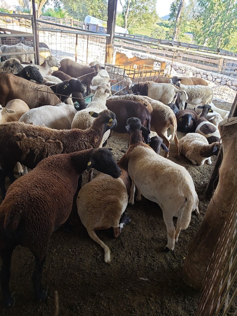 La Hacienda del Borrego - Foto 1