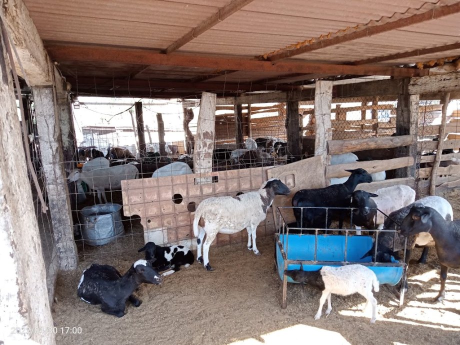 La Hacienda del Borrego - Foto 11