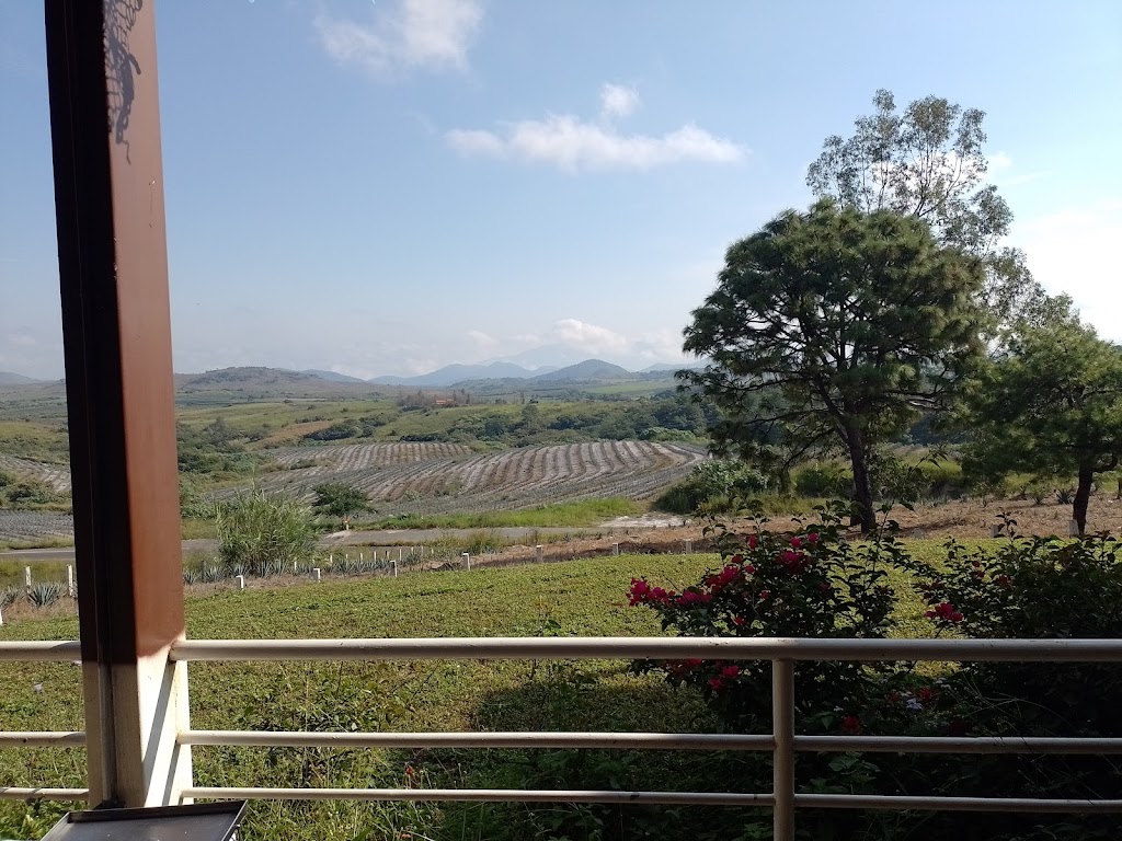 La Hacienda del Borrego - Foto 1