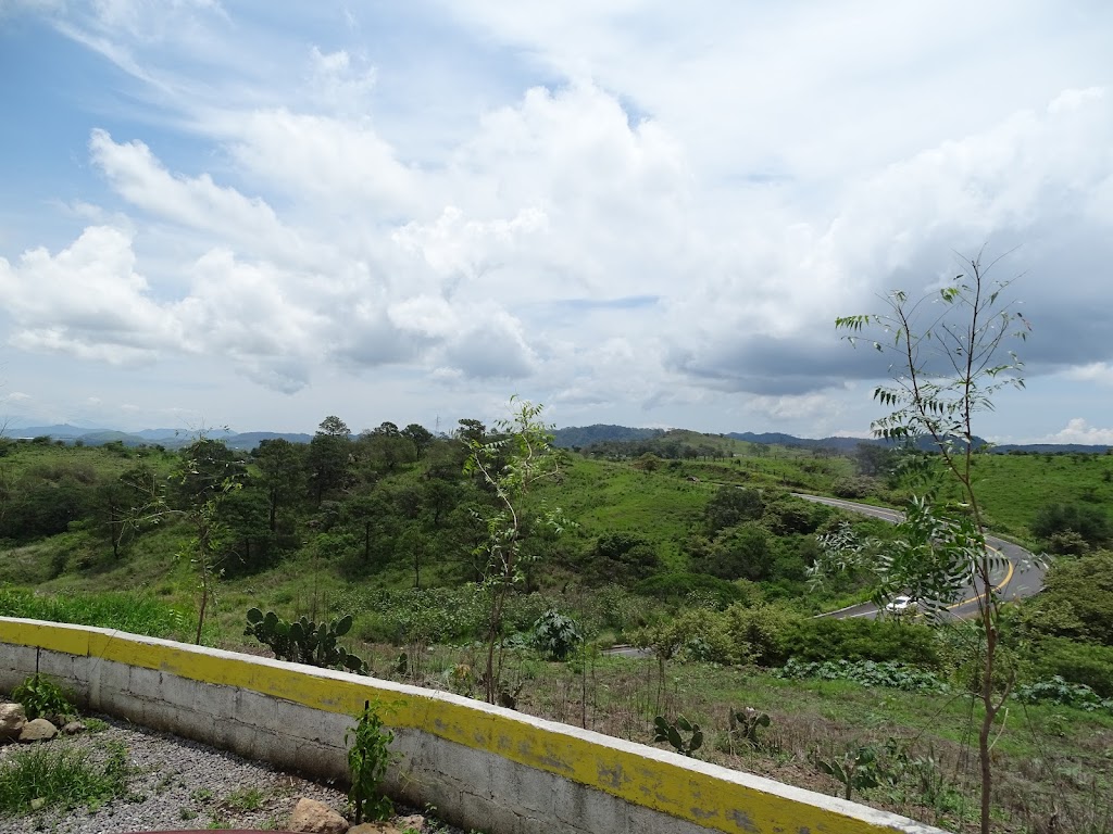 La Hacienda del Borrego - Foto 1