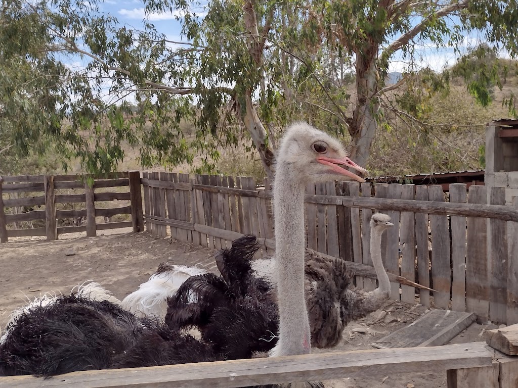 La Hacienda del Borrego - Foto 1