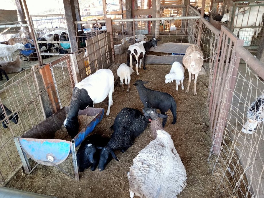 La Hacienda del Borrego - Foto 19