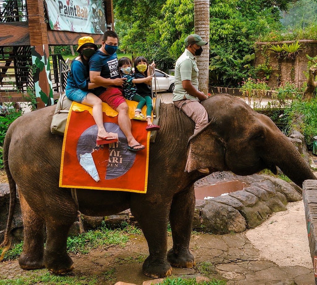 Royal Safari Garden Resort & Convention - Foto 1