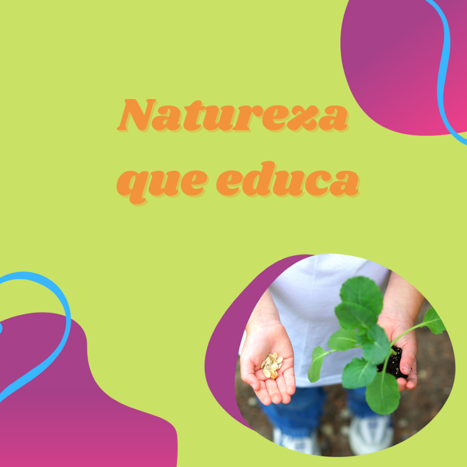 Spikilik Park - Foto 4