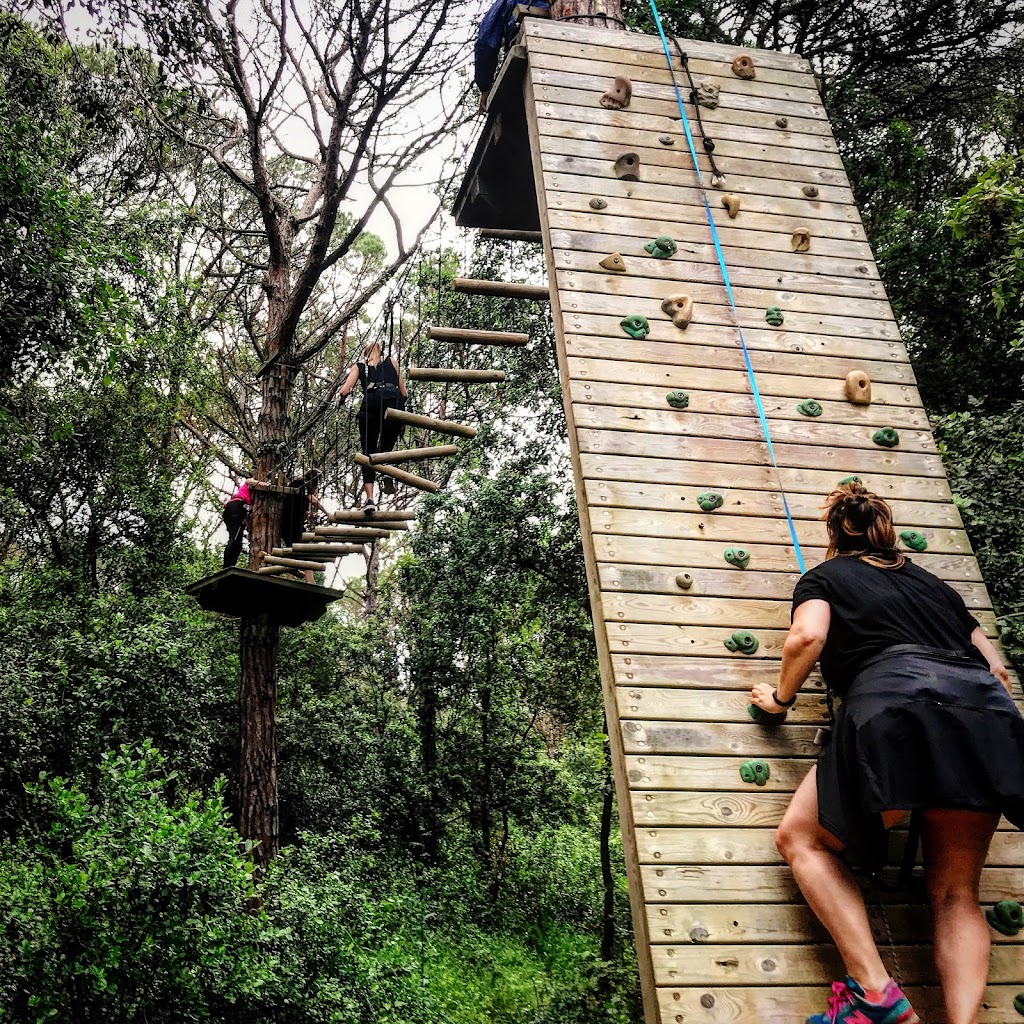 El Bosc Vertical Dosrius