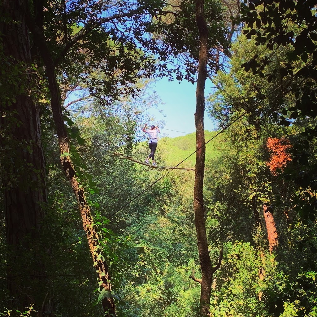 El Bosc Vertical Dosrius - Foto 1