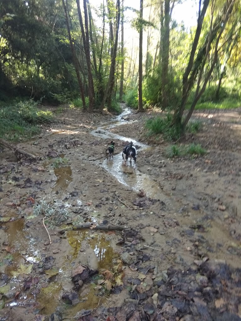 El Bosc Vertical Dosrius - Foto 4