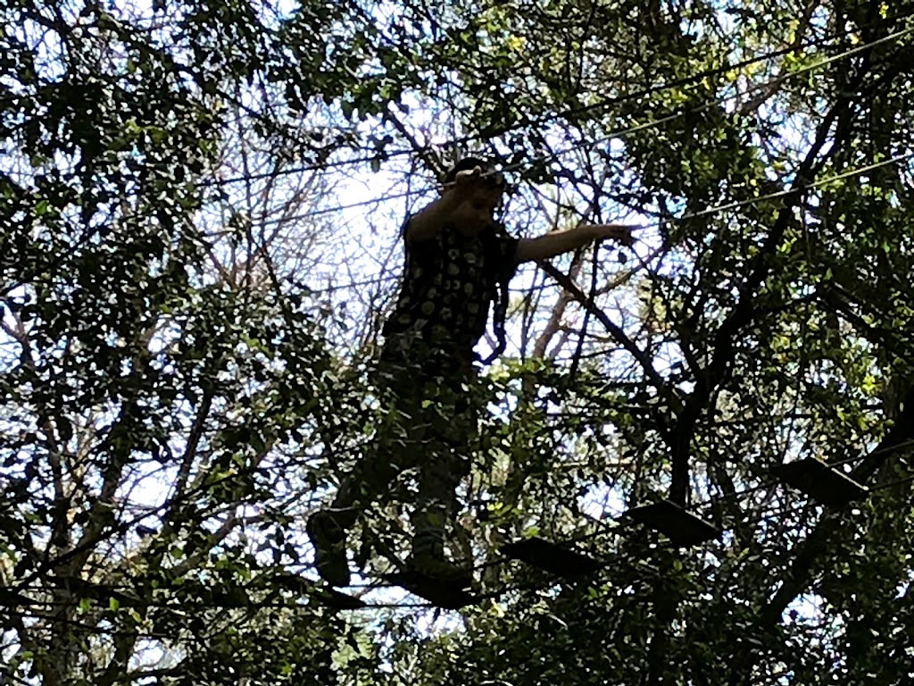 El Bosc Vertical Dosrius - Foto 1