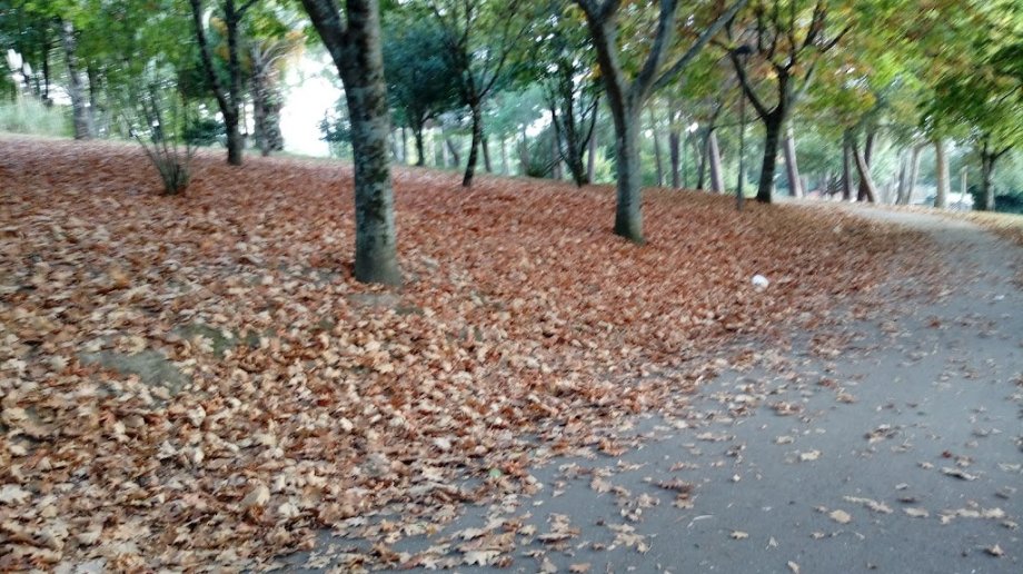 Parque da Cachada - Foto 8