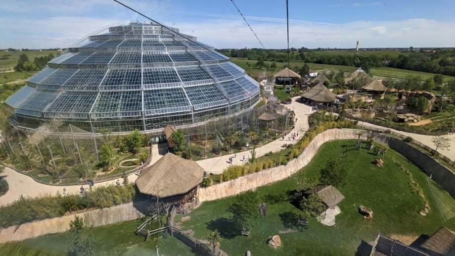 ZooParc de Beauval - Foto 2