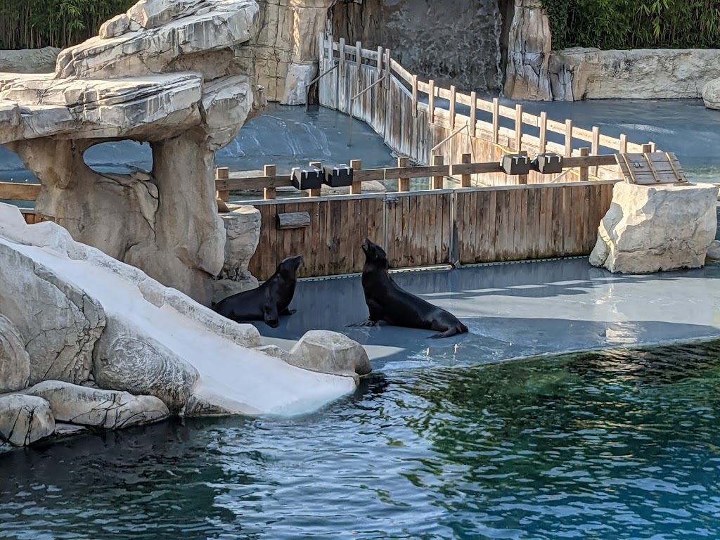 ZooParc de Beauval - Foto 1