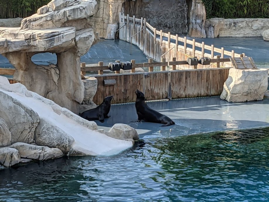 ZooParc de Beauval - Foto 8