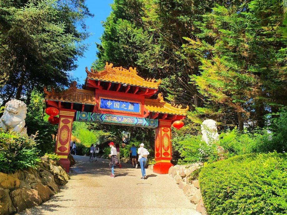 ZooParc de Beauval - Foto 9