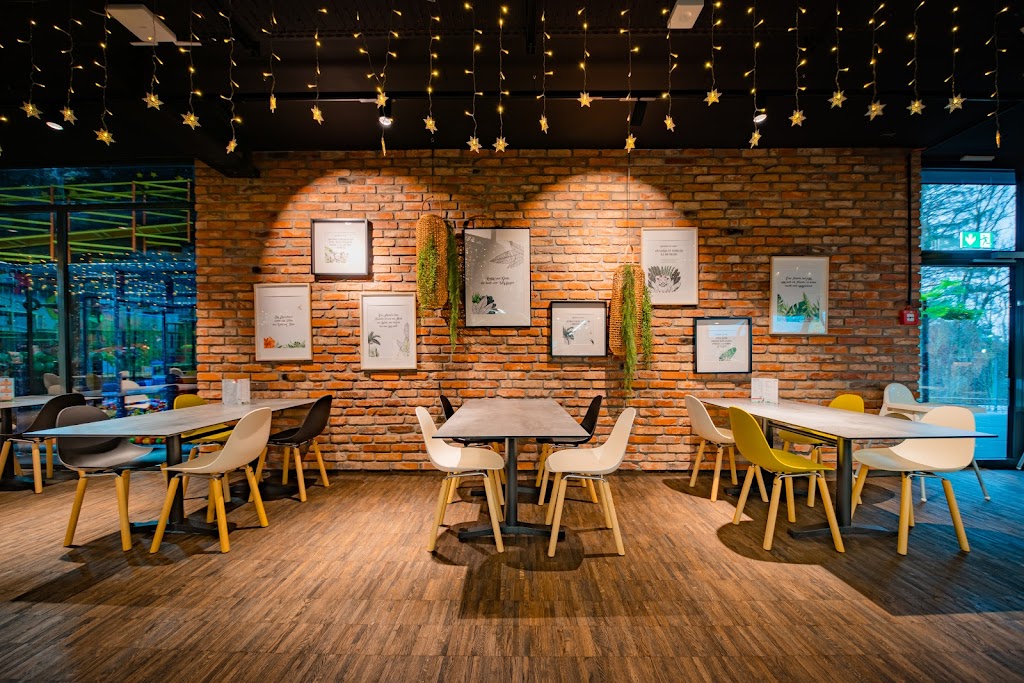 Kiddy Dome - Swiss Family Center - Foto 1