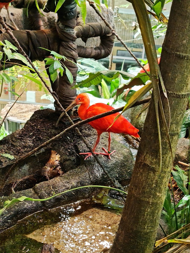 Universeum - Foto 4