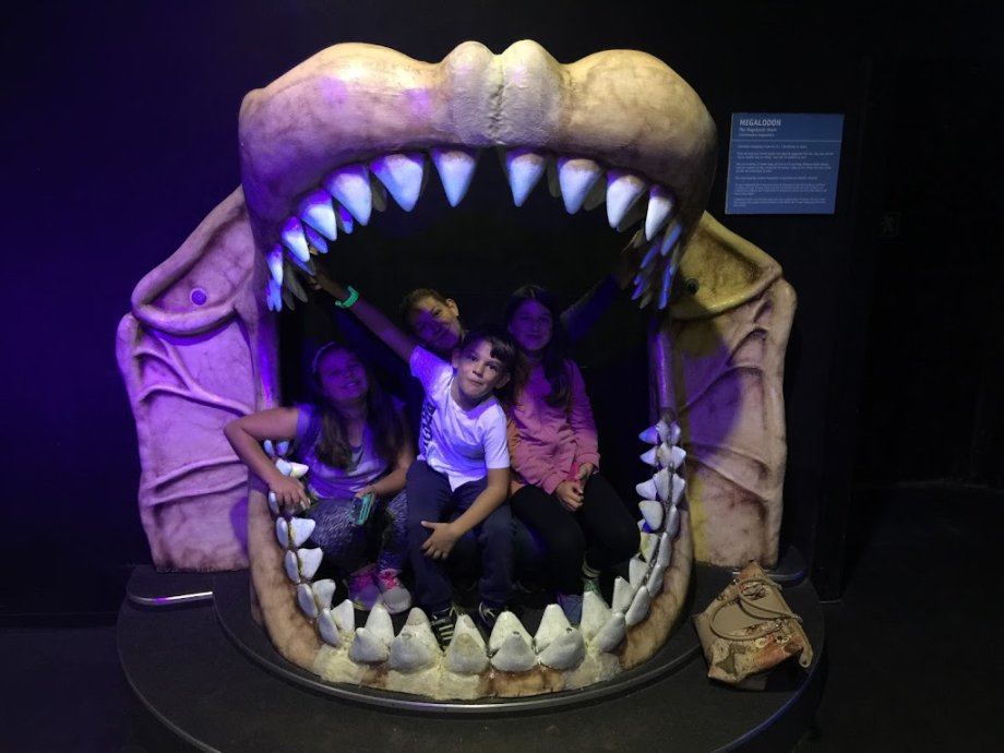 Universeum - Foto 10