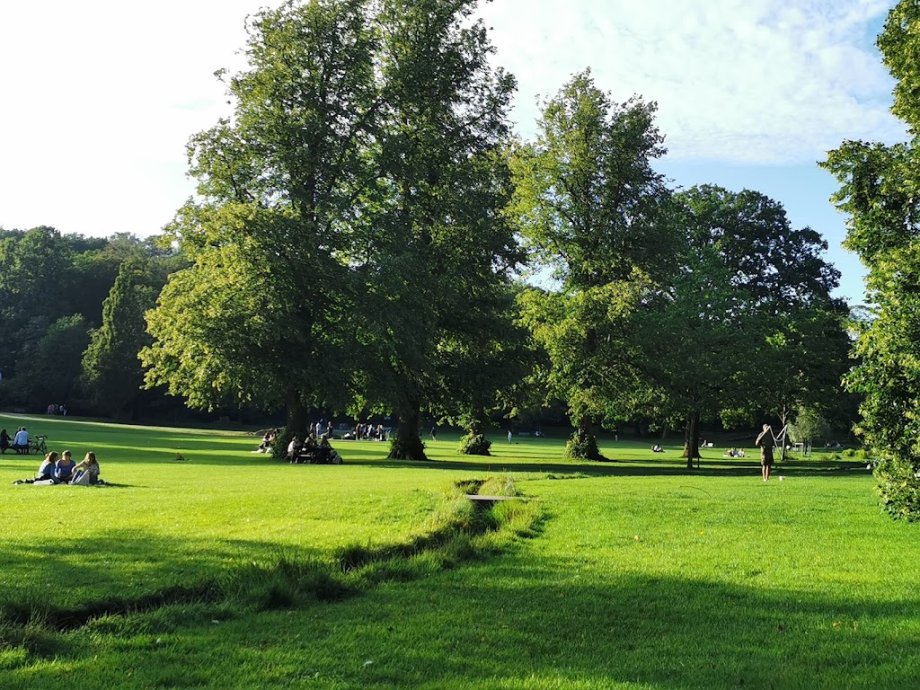 Slottsskogen - Foto 2