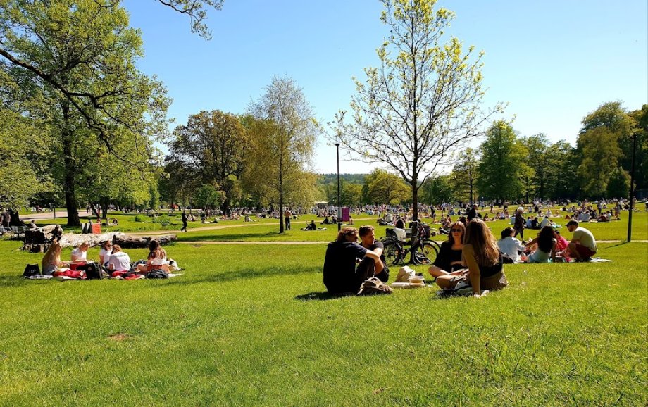 Slottsskogen - Foto 6