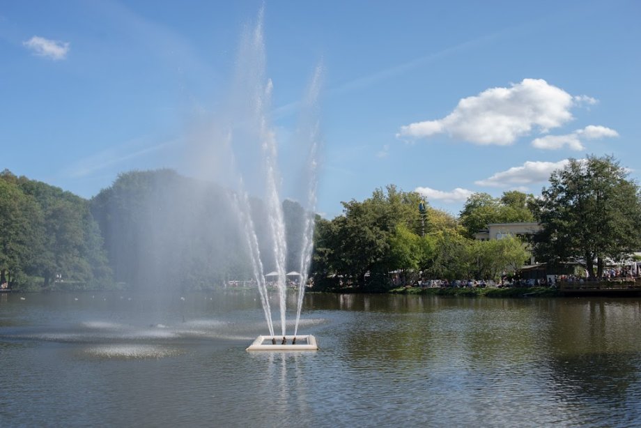 Slottsskogen - Foto 7