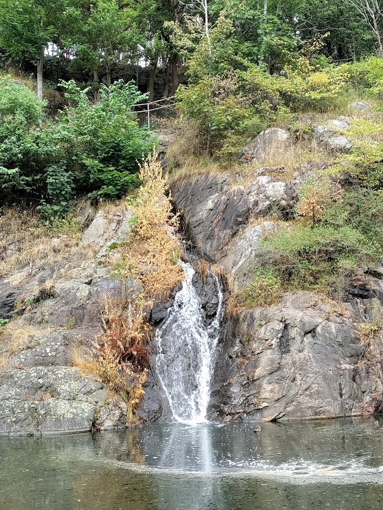 Slottsskogen - Foto 8