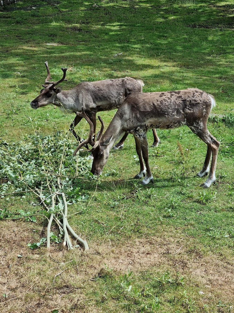 Slottsskogen - Foto 10
