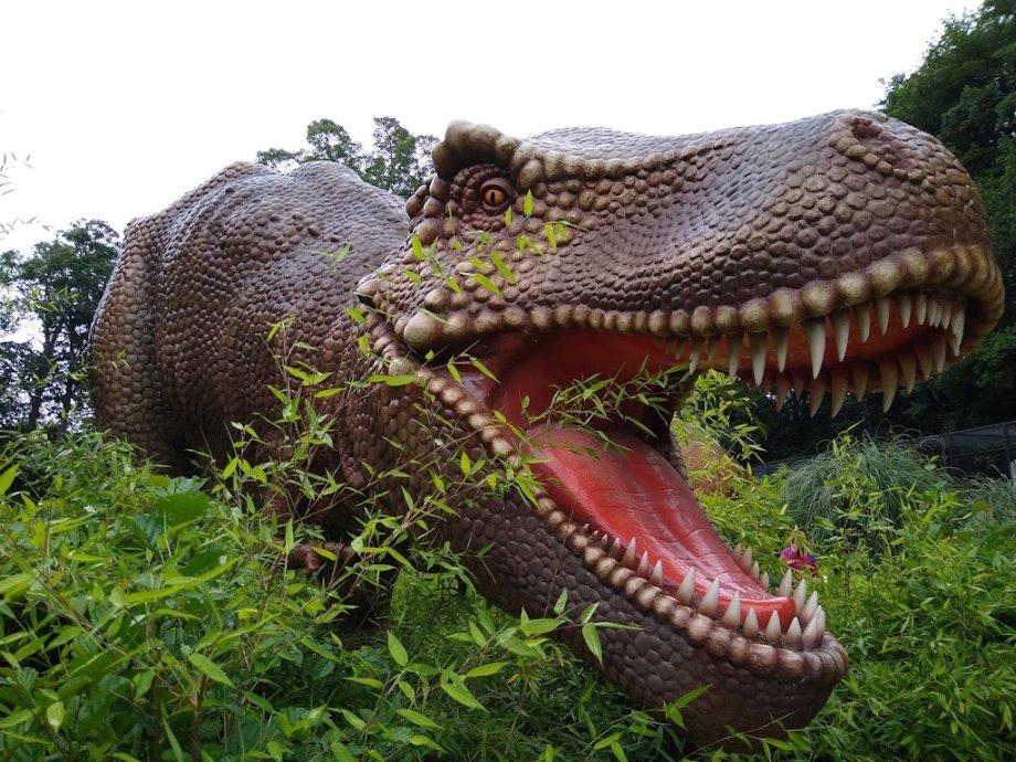 Drayton Manor Theme Park - Foto 10