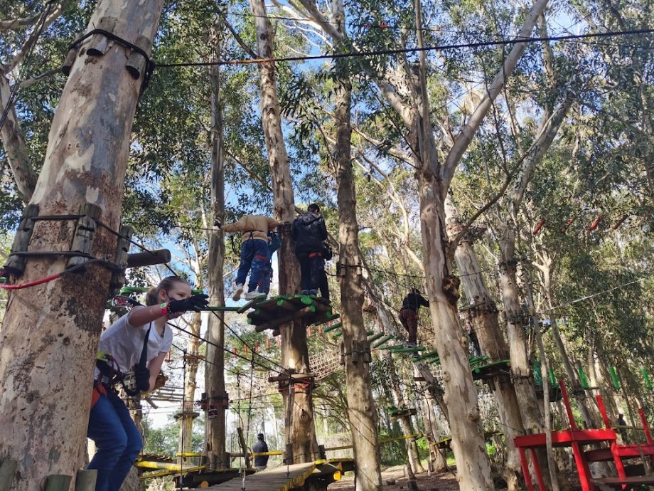 Acrobranch Constantia - Foto 4