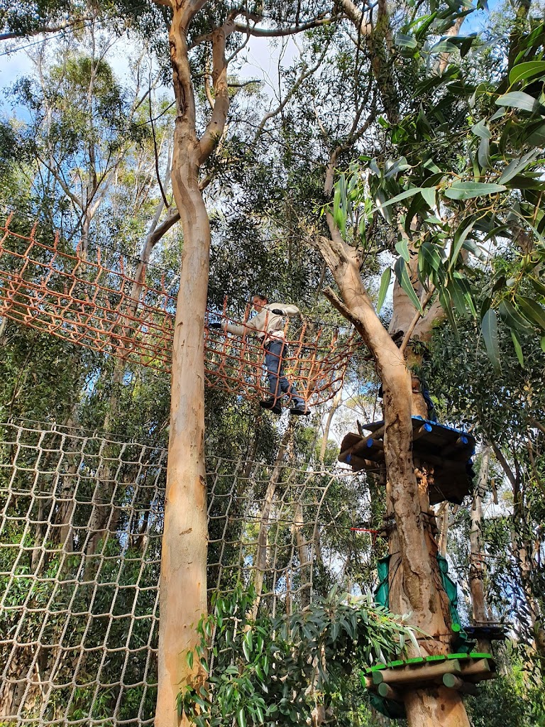 Acrobranch Constantia - Foto 1