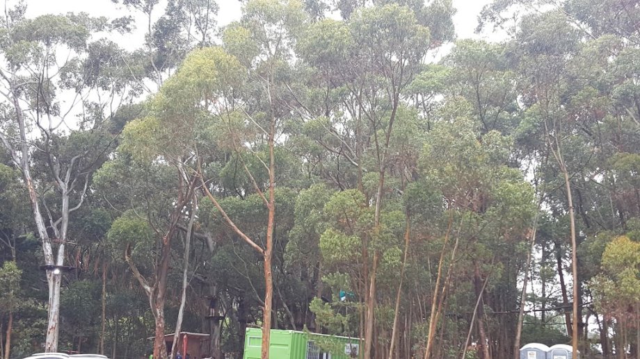 Acrobranch Constantia - Foto 2