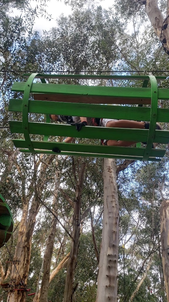 Acrobranch Constantia - Foto 1