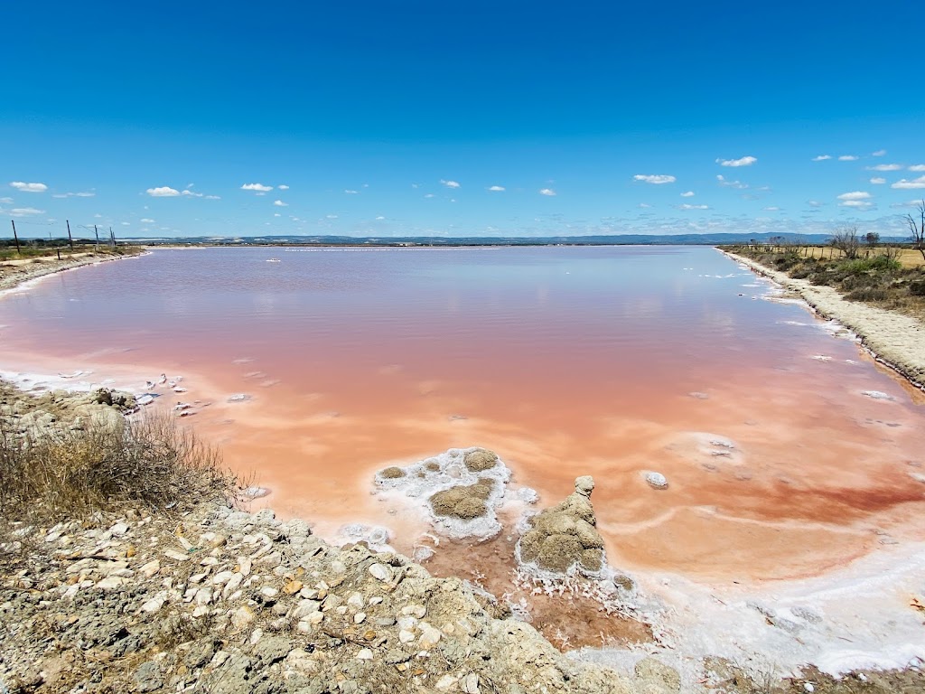 St Kilda Adventure Playground - Foto 1