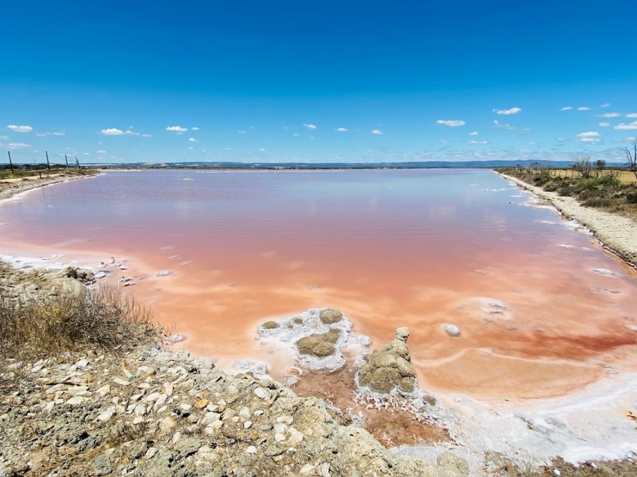 St Kilda Adventure Playground - Foto 8