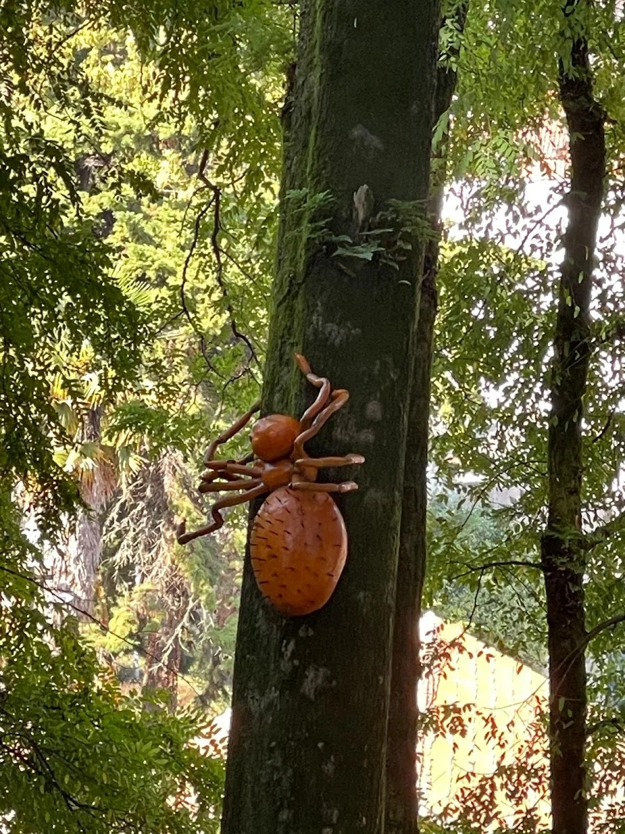 Granxa de Briz/Parque dos Sentidos - Foto 9