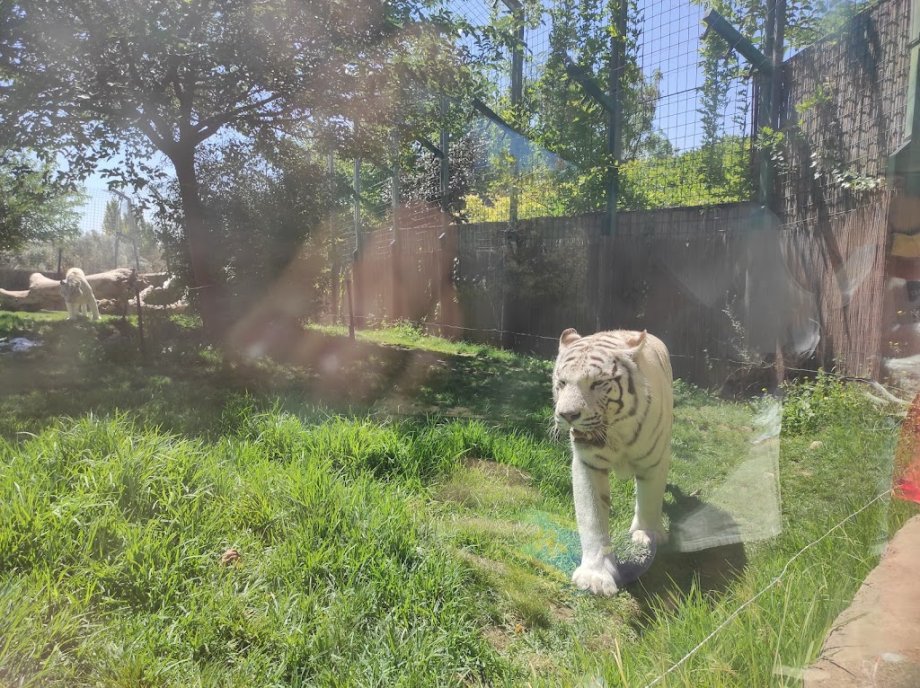 Sendaviva, Parque de la Naturaleza de Navarra - Foto 4